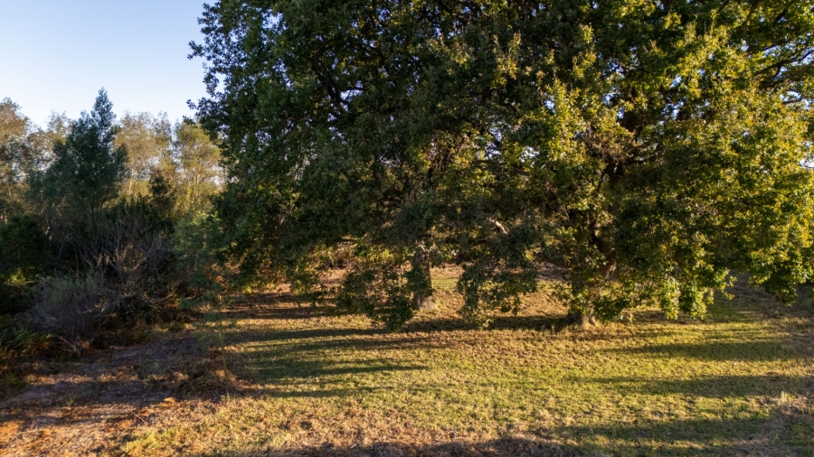  Bedroom Property for Sale in Natures Valley Western Cape